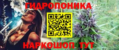 сатива Ирбит