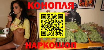 сатива Ирбит
