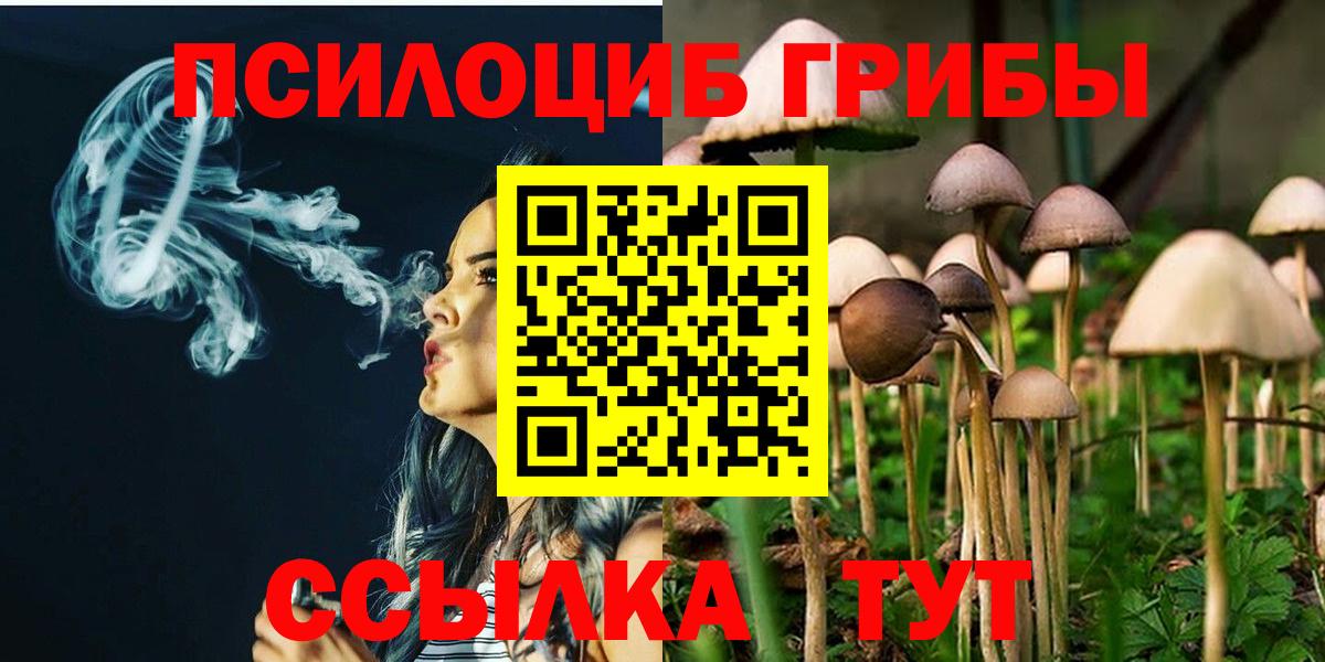 Псилоцибиновые грибы GOLDEN TEACHER Кострома